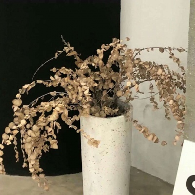 兽设毛发绘画实用教程FurryQQ群